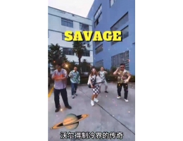 沃尔得青春之歌